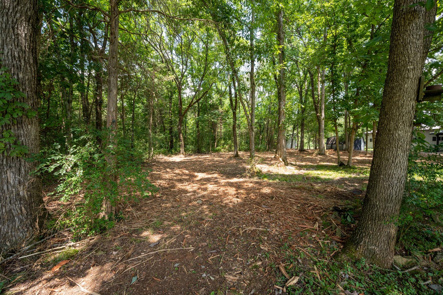 4180 Rucker Road Christiana, TN 37037 - Photo 10 of 46 Gallery Image 10