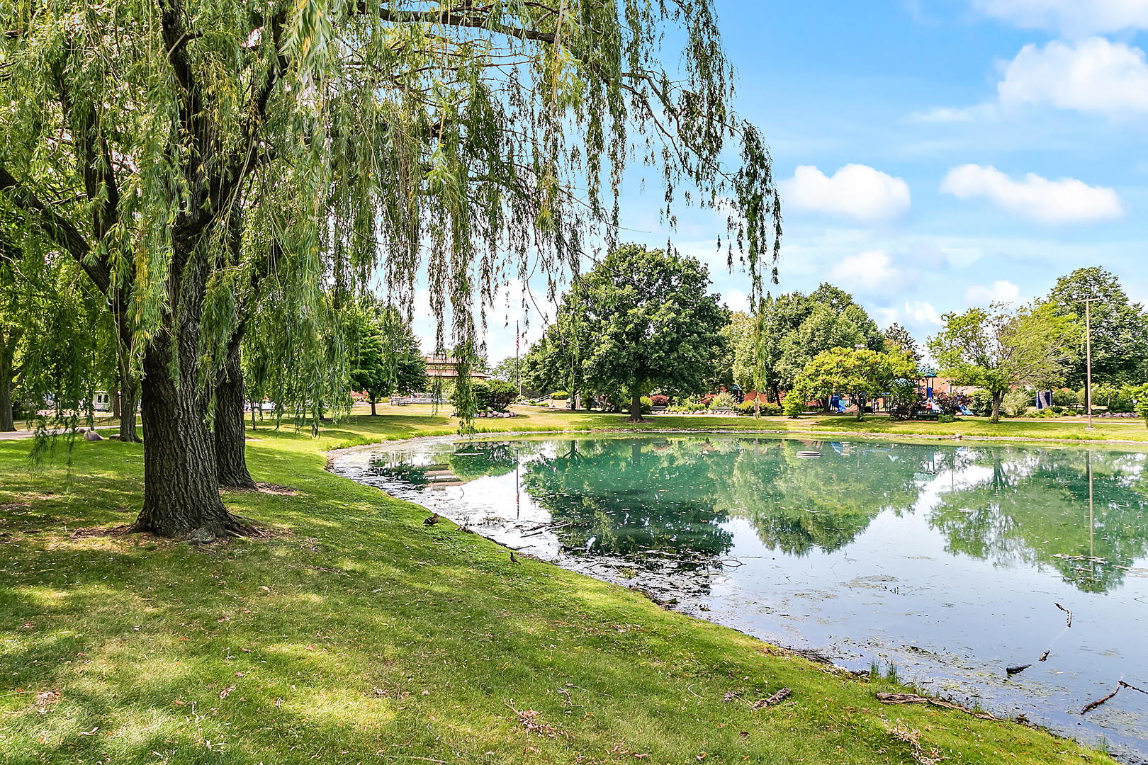 2949 Lincoln Avenue North Riverside, IL 60546 - Photo 25 of 26 a view of a lake with a yard and large trees