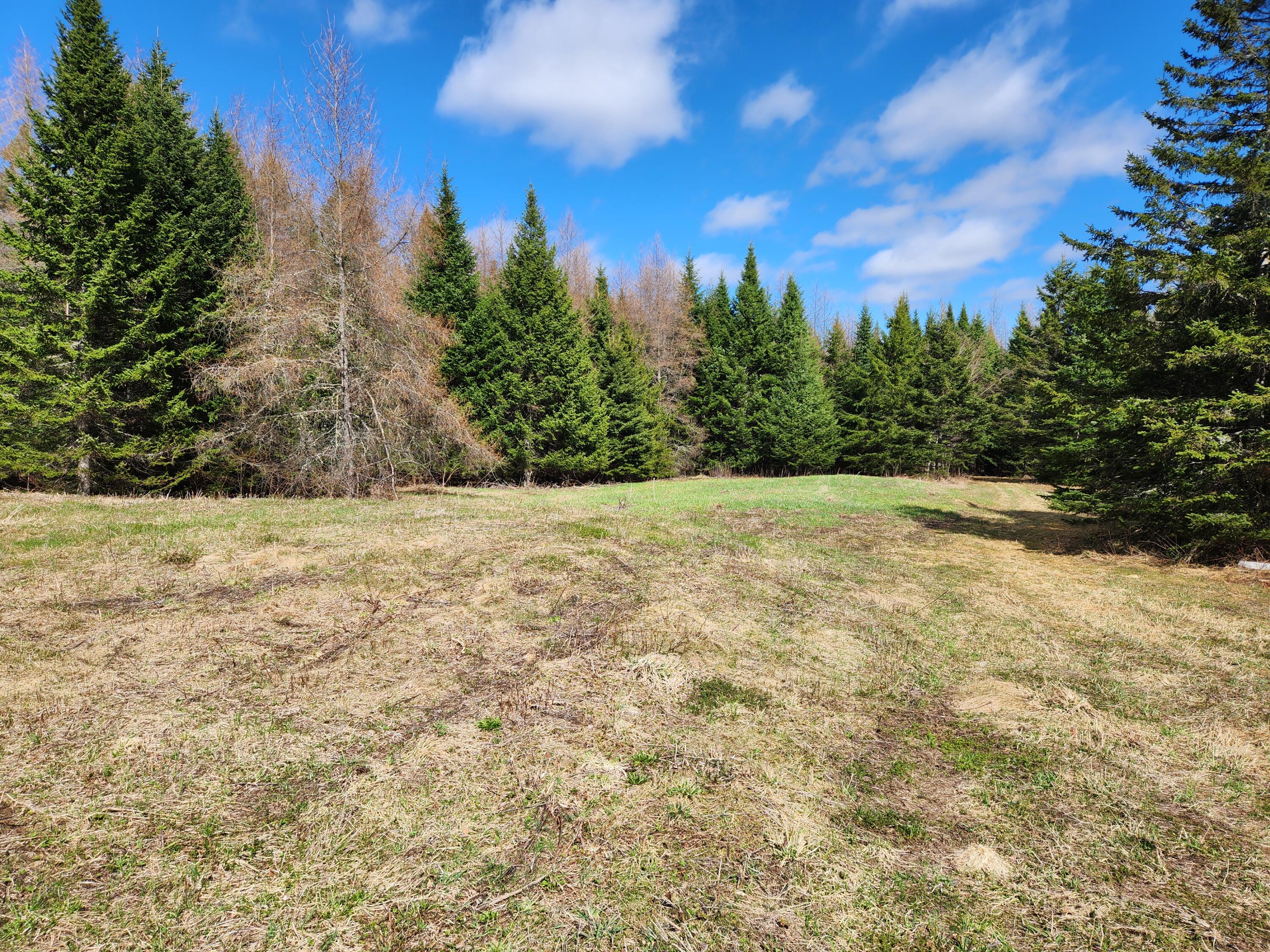9 West C W Gate Road Caribou, ME 04736 - Photo 5 of 9 2025-04-30 14.42.28
