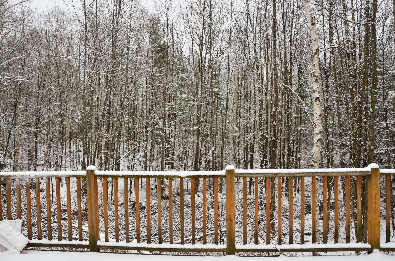 73 Nelson Road Pittston, ME 04345 - Photo 44 of 51 0044-KRamsay2022--0091