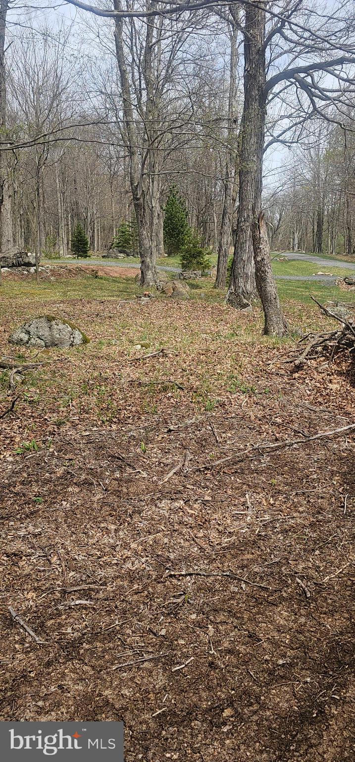 Goldenseal Road Maysville, WV 26833 - Photo 7 of 34 Gallery Image 7