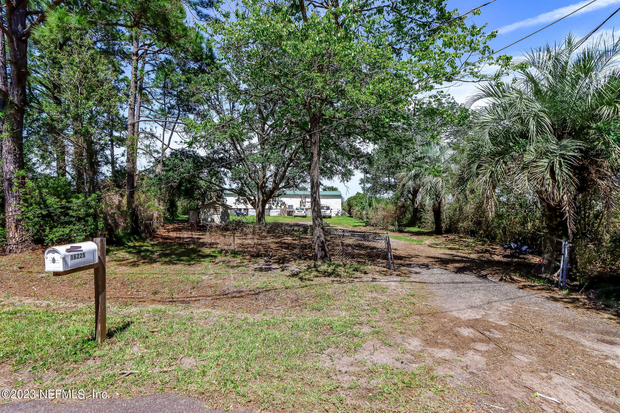 16225 Shellcracker Road Jacksonville, FL 32226 - Photo 7 of 18 a view of a park with large trees