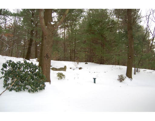 7 Whipple Road Lexington, MA 02420 - Photo 13 of 15