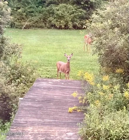 $347,700 | 14 Blotz Road, Washington, MA 01223