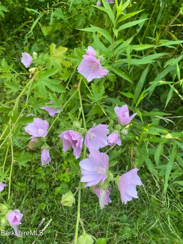 a kitchen with a stove and cabinets
