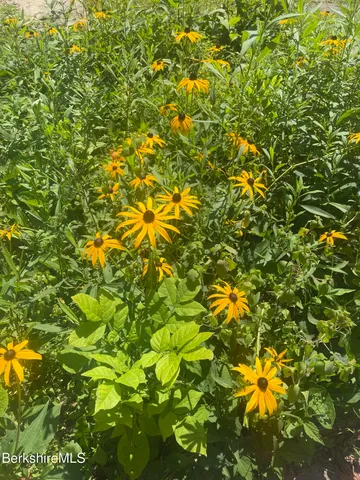 a kitchen with a table and chairs in it