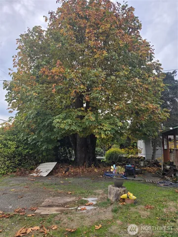 a view of a fountain in front of a house