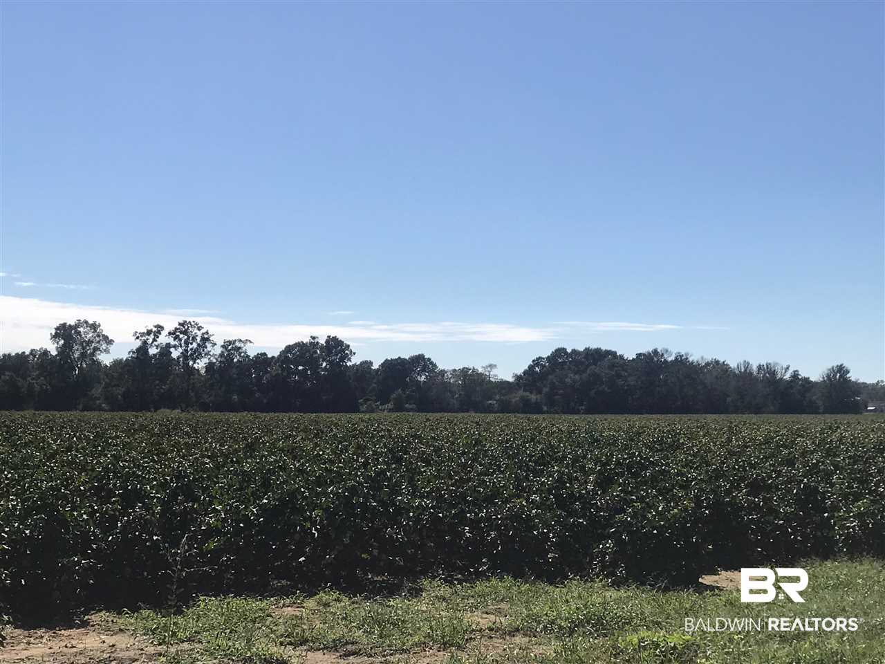 0 Rebel Road Daphne, AL 36526 - Photo 1 of 6 Gallery Image 1
