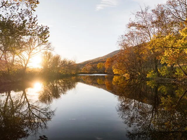 $4,300,000 | 7456 A P Carter Highway, Hiltons, VA 24258