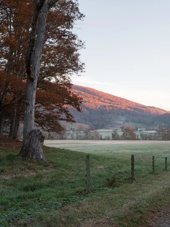 $4,300,000 | 7456 A P Carter Highway, Hiltons, VA 24258