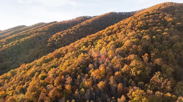 $4,300,000 | 7456 A P Carter Highway, Hiltons, VA 24258