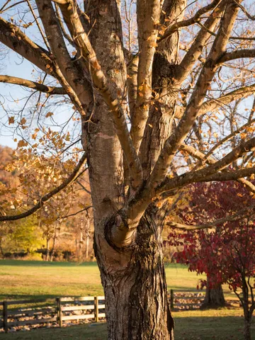 $4,300,000 | 7456 A P Carter Highway, Hiltons, VA 24258