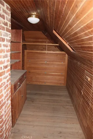 a view of a tree in the middle of a yard