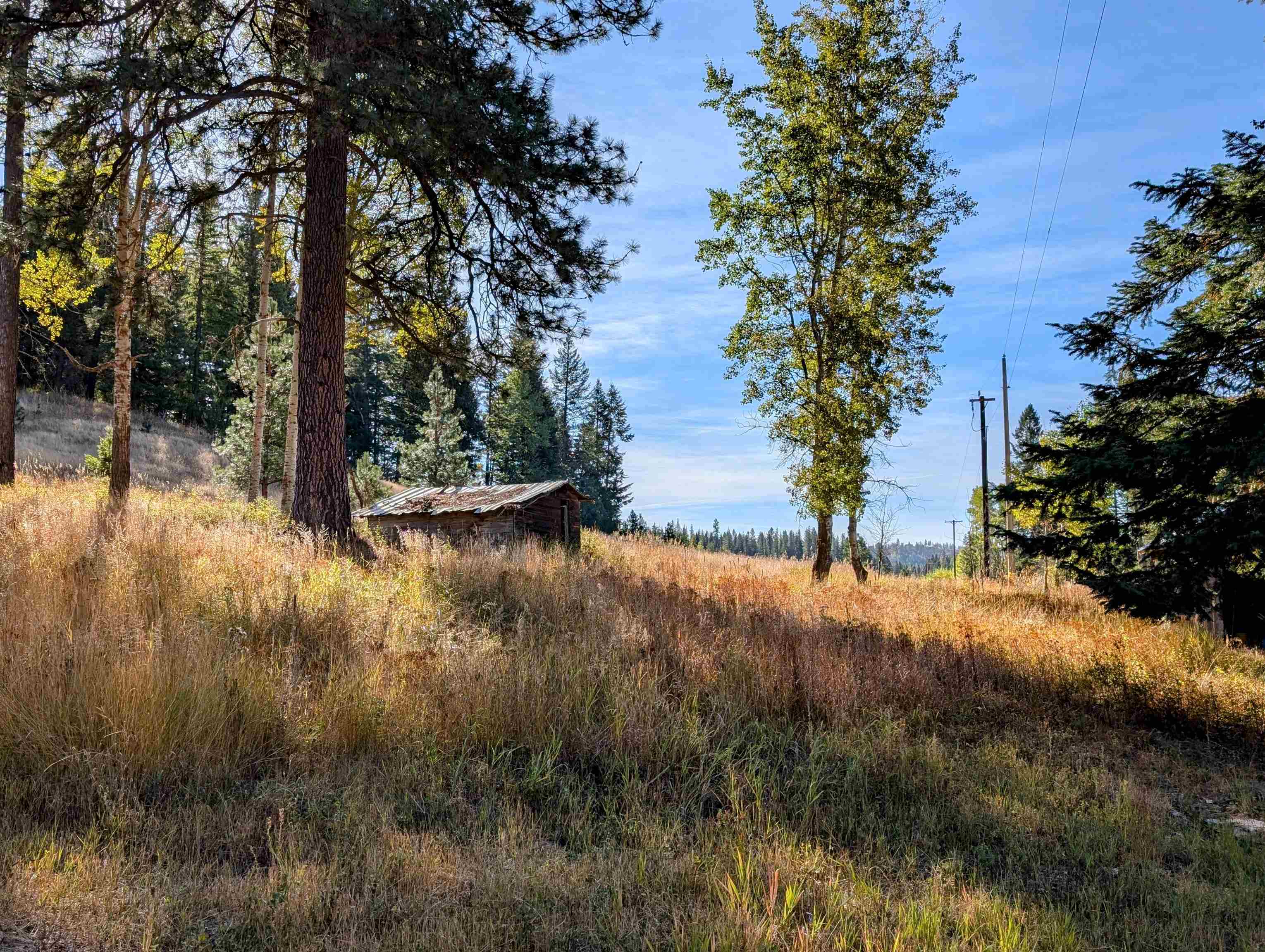4439 Whittier Road Clayton, WA 99110 - Photo 43 of 49