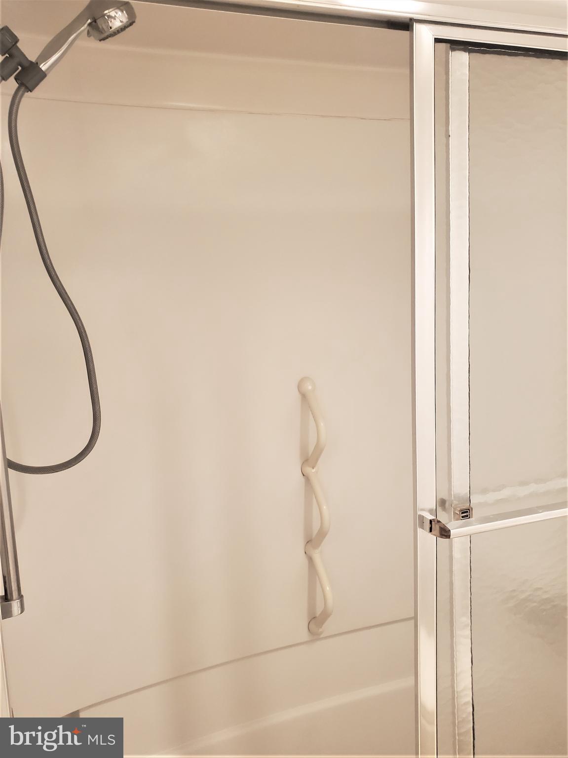 15100 Interlachen Drive, Unit 4516 Silver Spring, MD 20906 - Photo 23 of 28 Inside Shower Stall