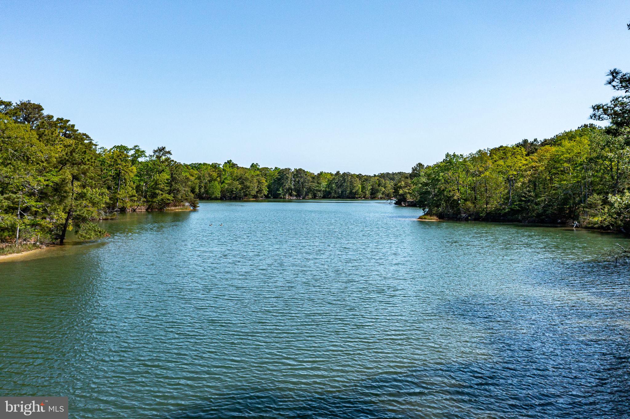 529 Taylors Beach Road Reedville, VA 22539 - Photo 22 of 57 Serene waters embraced by lush greens.