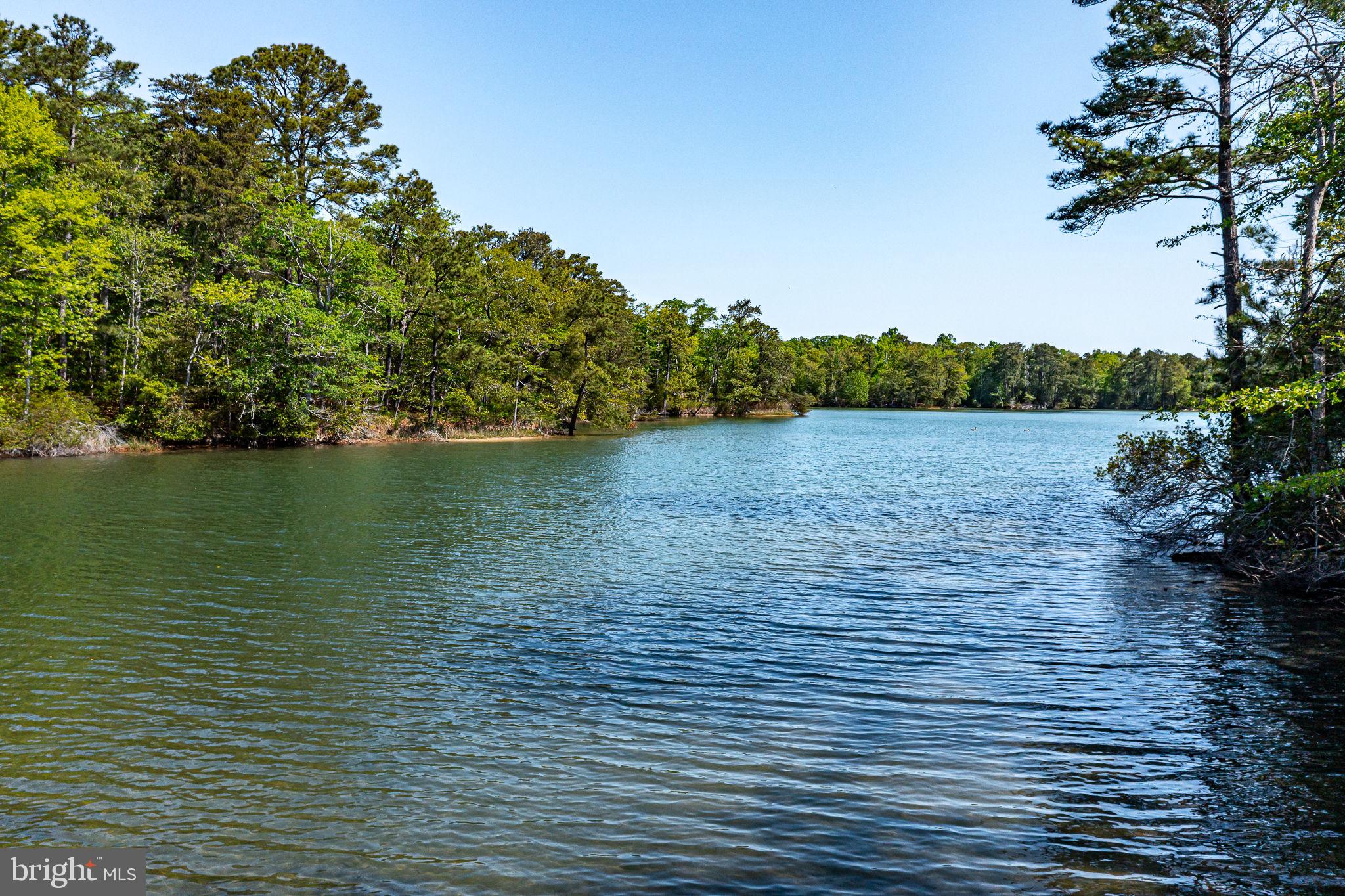 529 Taylors Beach Road Reedville, VA 22539 - Photo 24 of 57 Serene waters embraced by lush greens.