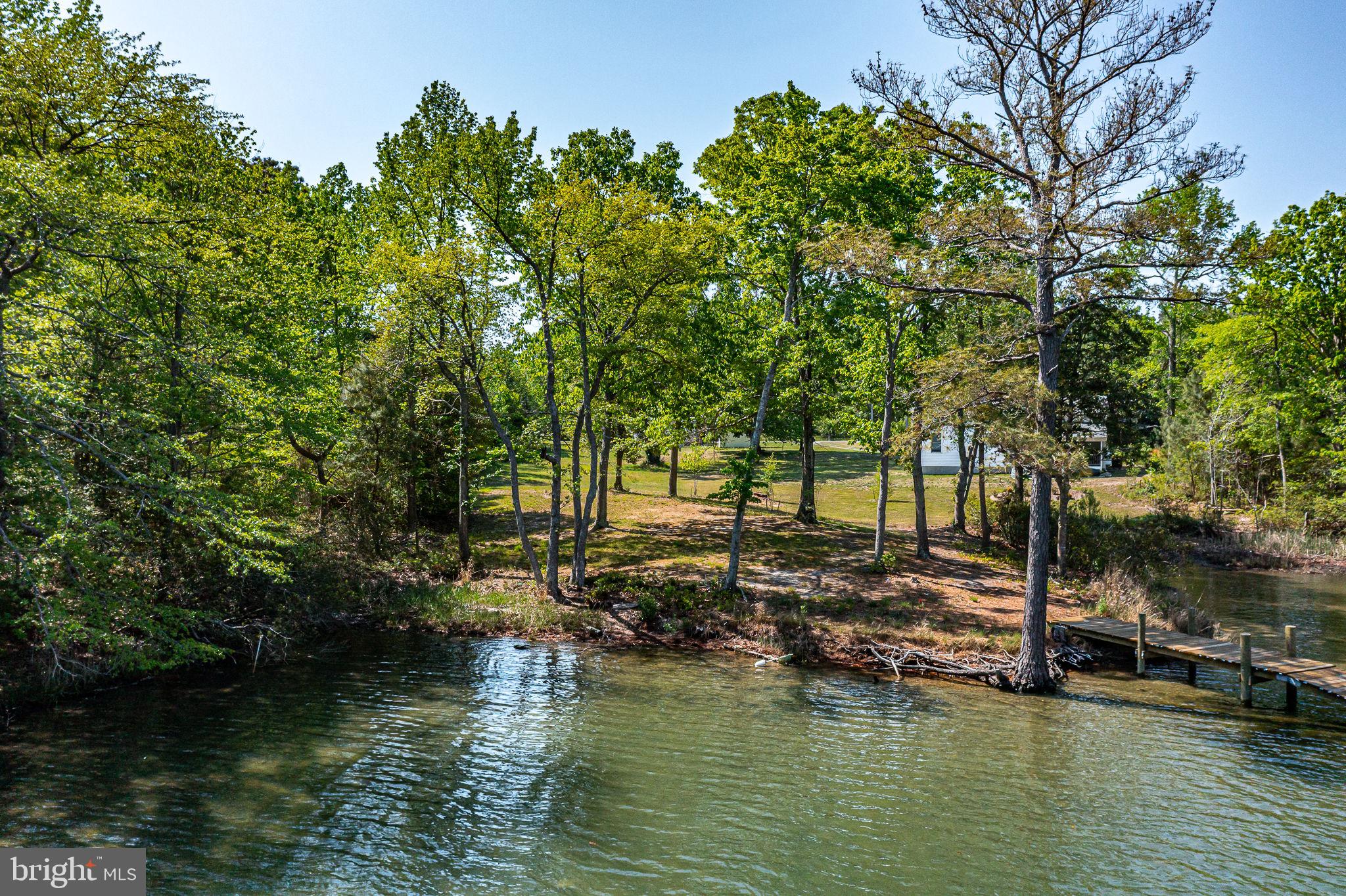 529 Taylors Beach Road Reedville, VA 22539 - Photo 35 of 57 Serene lakeside retreat with lush greenery.