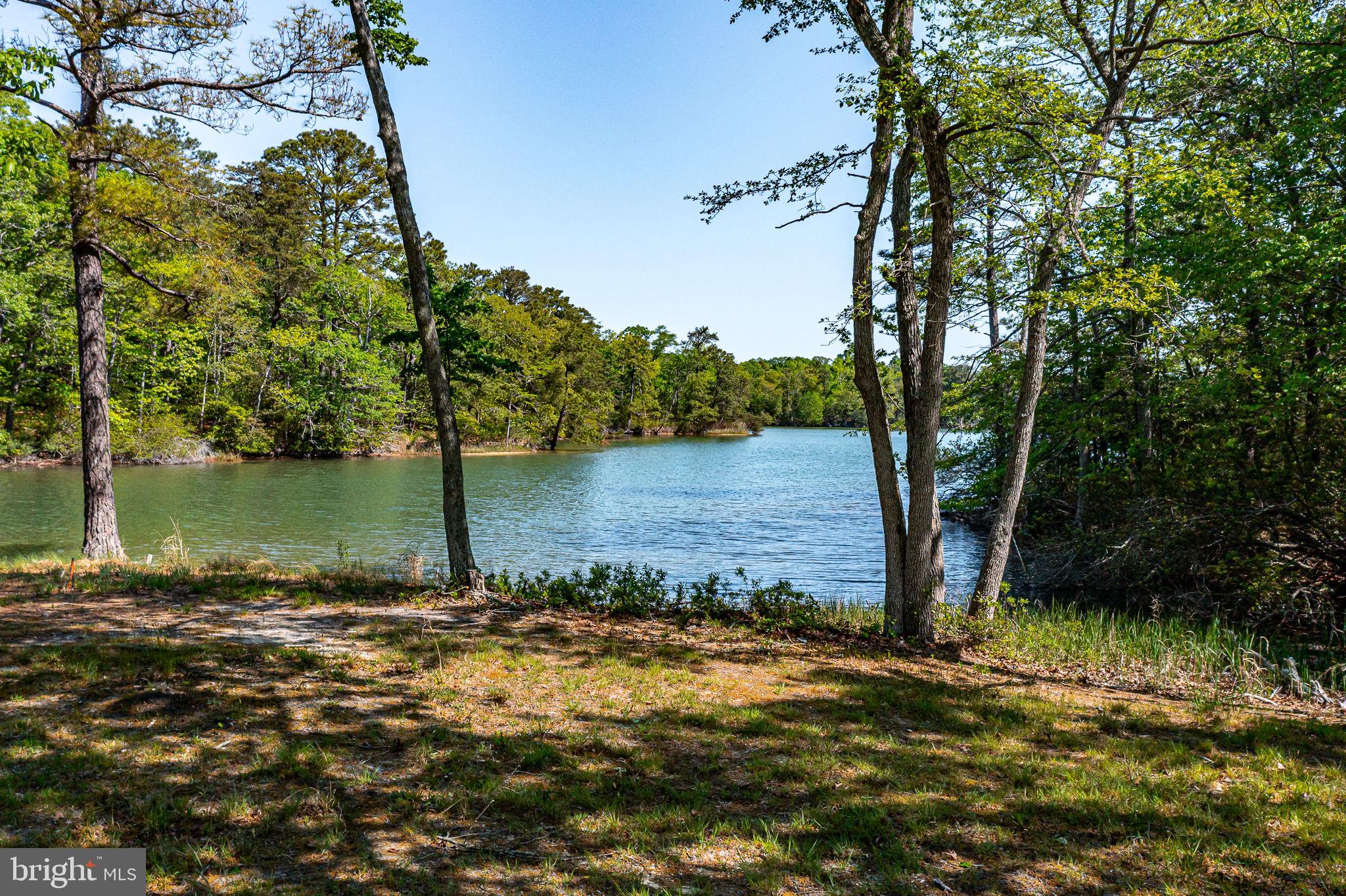 529 Taylors Beach Road Reedville, VA 22539 - Photo 37 of 57 Tranquil waters framed by trees.