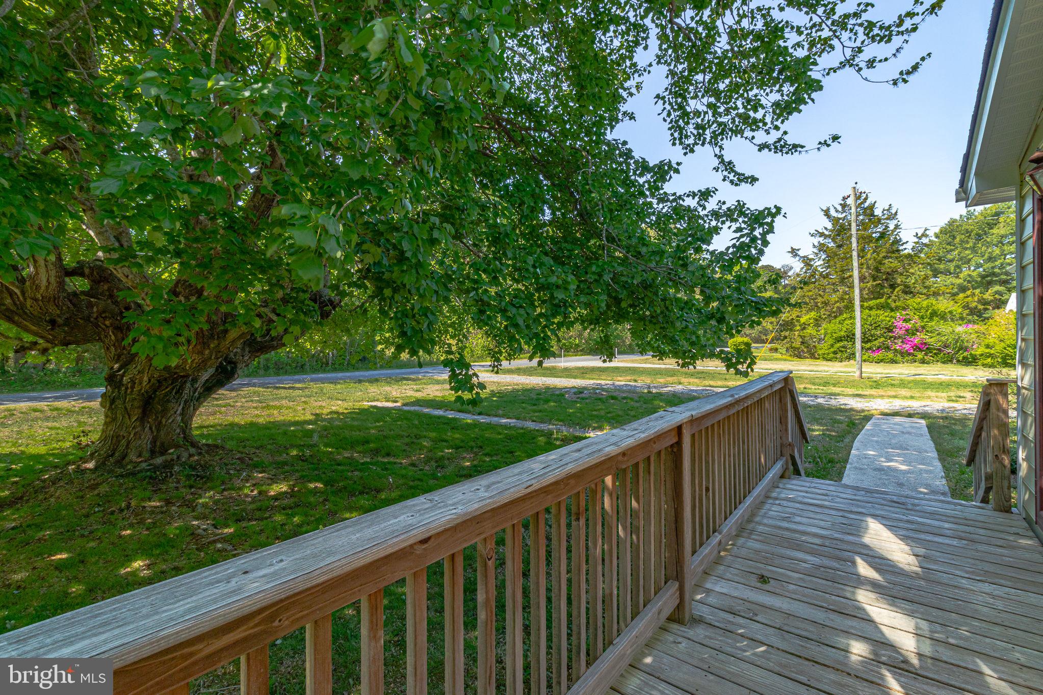 529 Taylors Beach Road Reedville, VA 22539 - Photo 53 of 57 Charming entryway under lush trees.