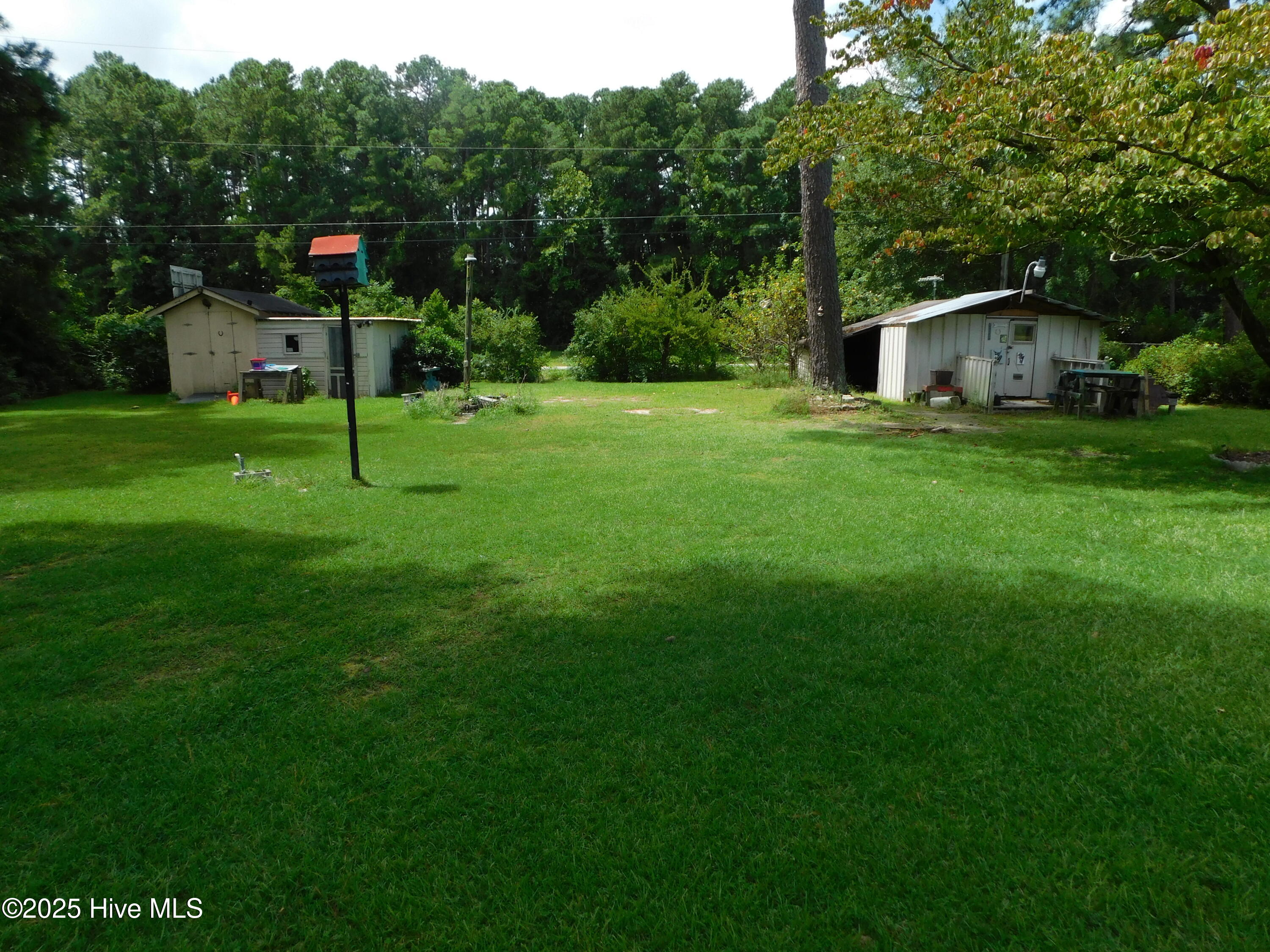 1010 West Scotsdale Road Laurinburg, NC 28352 - Photo 65 of 122 DSCN0097