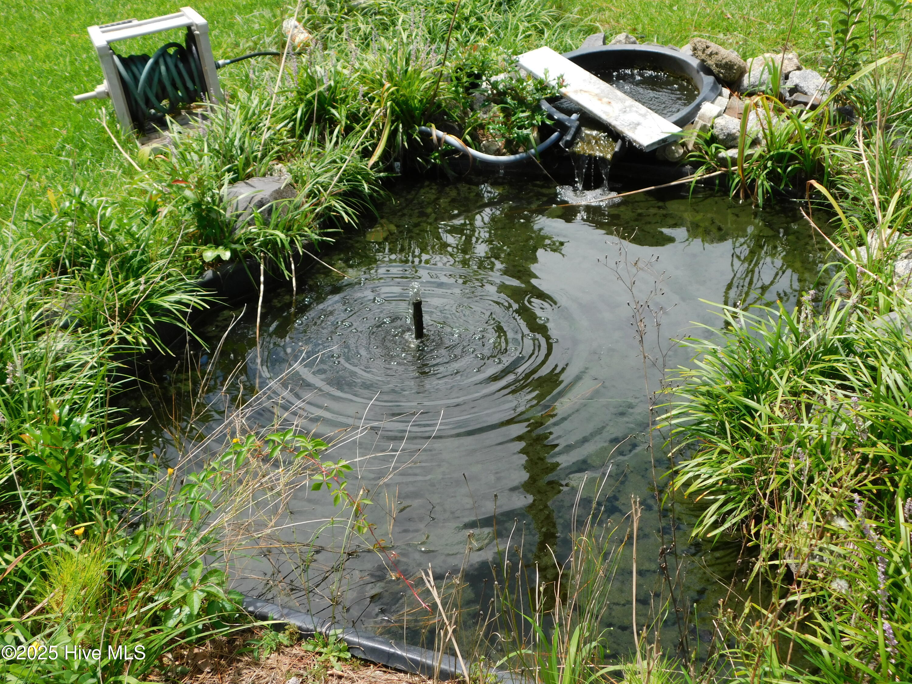 1010 West Scotsdale Road Laurinburg, NC 28352 - Photo 69 of 122 gold fish pond