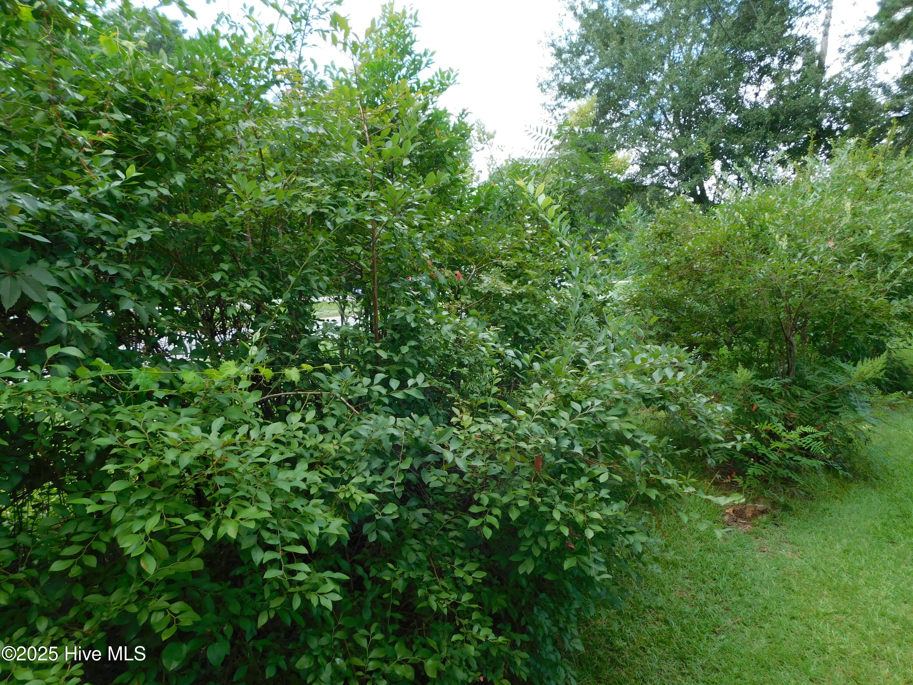 1010 West Scotsdale Road Laurinburg, NC 28352 - Photo 84 of 122 DSCN0123