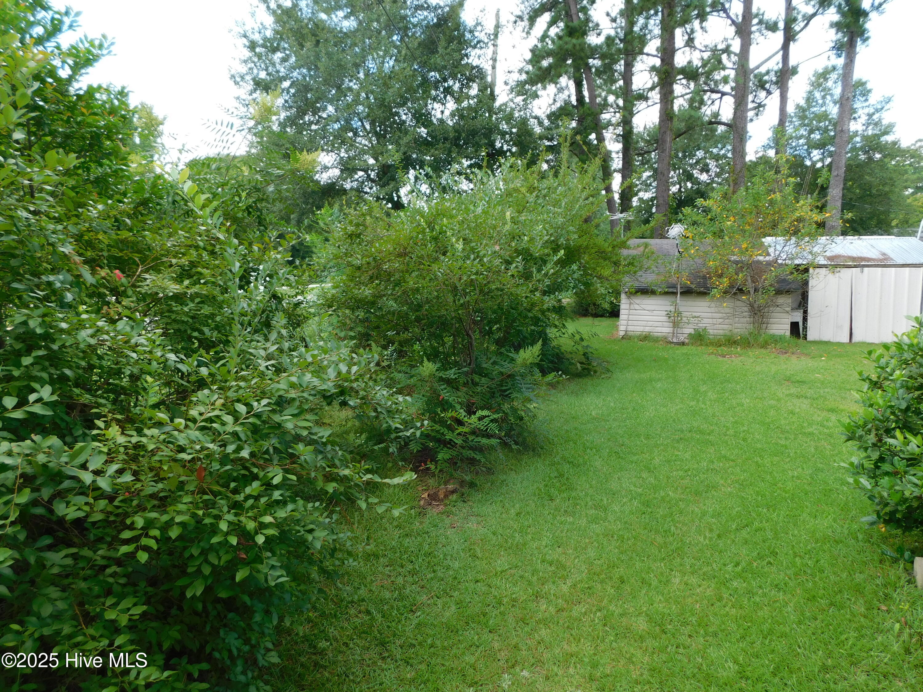 1010 West Scotsdale Road Laurinburg, NC 28352 - Photo 85 of 122 DSCN0124