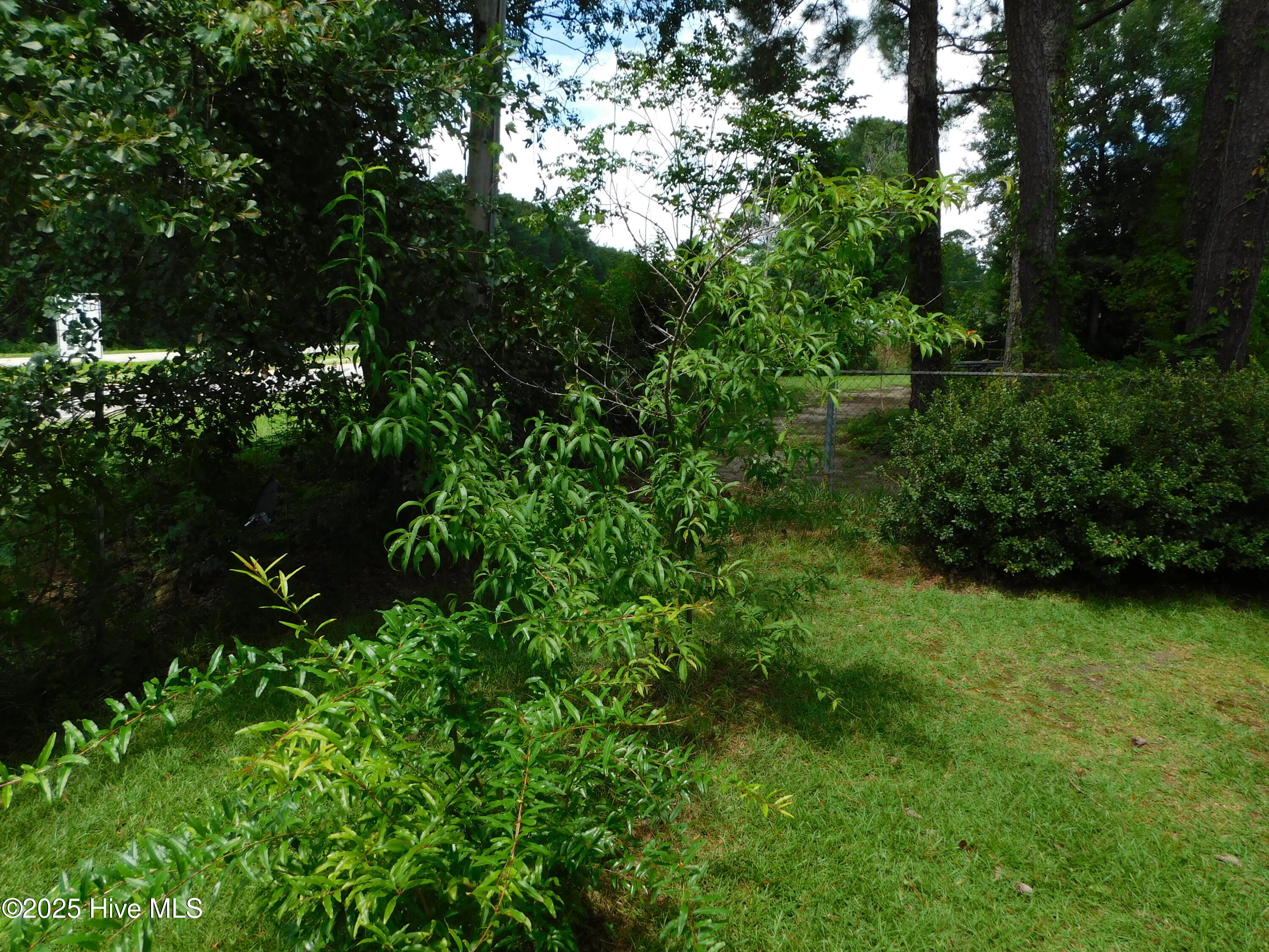1010 West Scotsdale Road Laurinburg, NC 28352 - Photo 91 of 122 DSCN0130