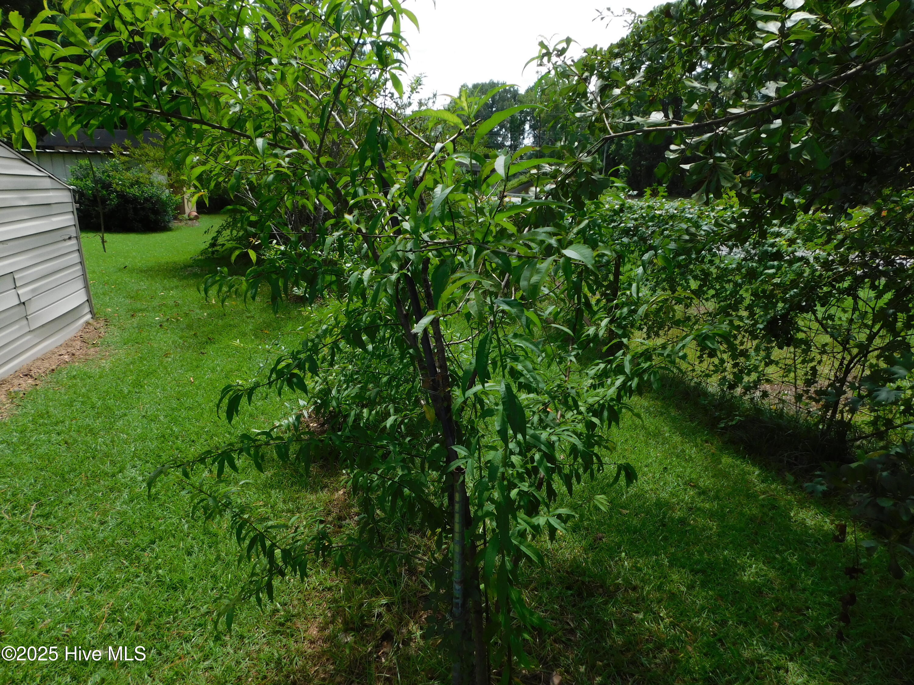 1010 West Scotsdale Road Laurinburg, NC 28352 - Photo 93 of 122 DSCN0133