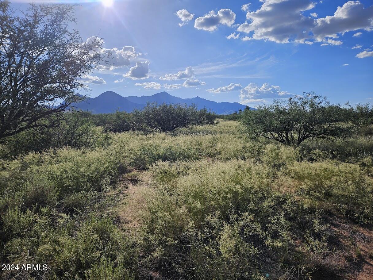 Lotb 4.5-ac East Lane Ranch Road, Unit 30 Hereford, AZ 85615 - Photo 12 of 27 20240815_170507