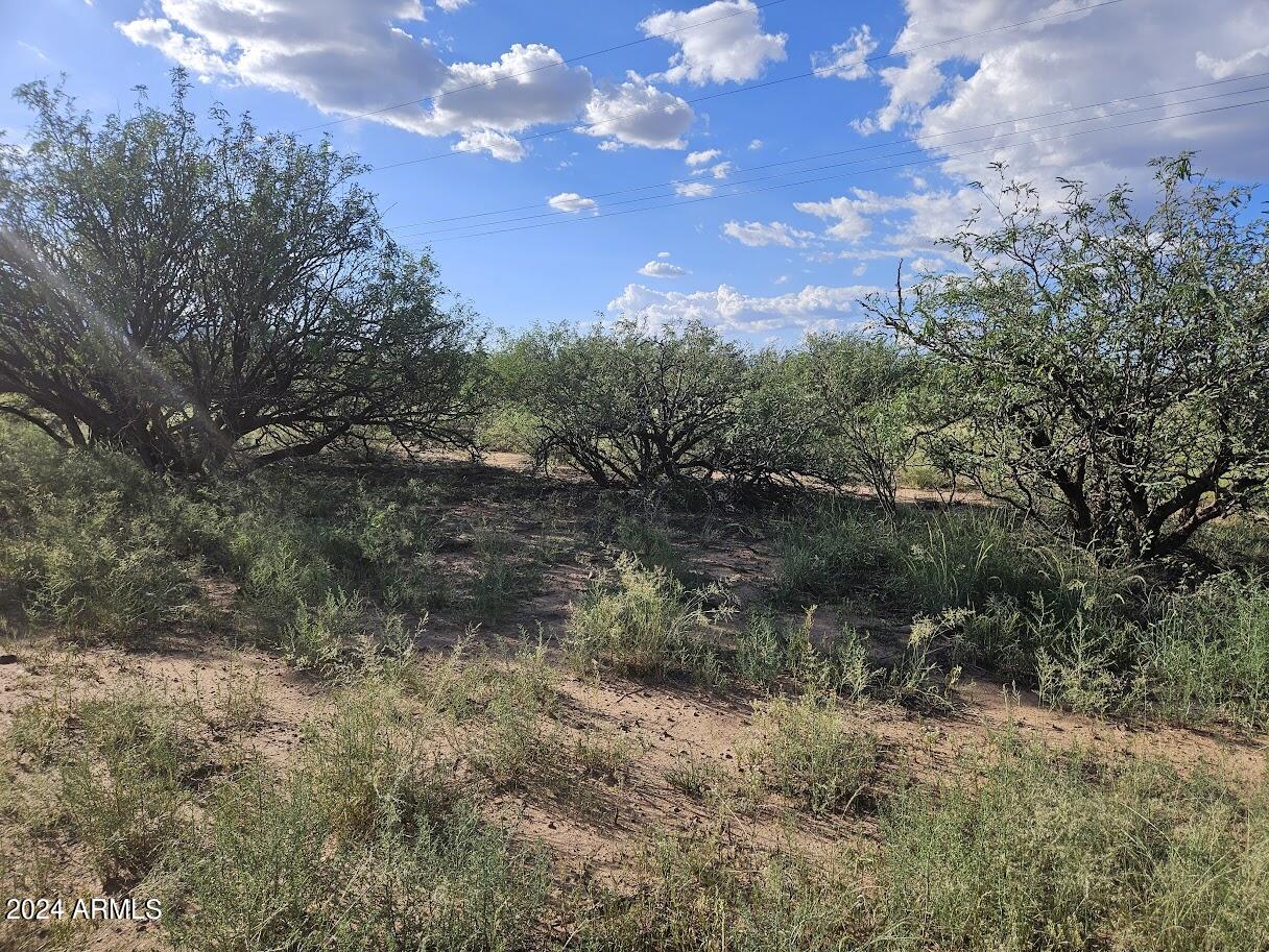 Lotb 4.5-ac East Lane Ranch Road, Unit 30 Hereford, AZ 85615 - Photo 8 of 27 20240815_170348
