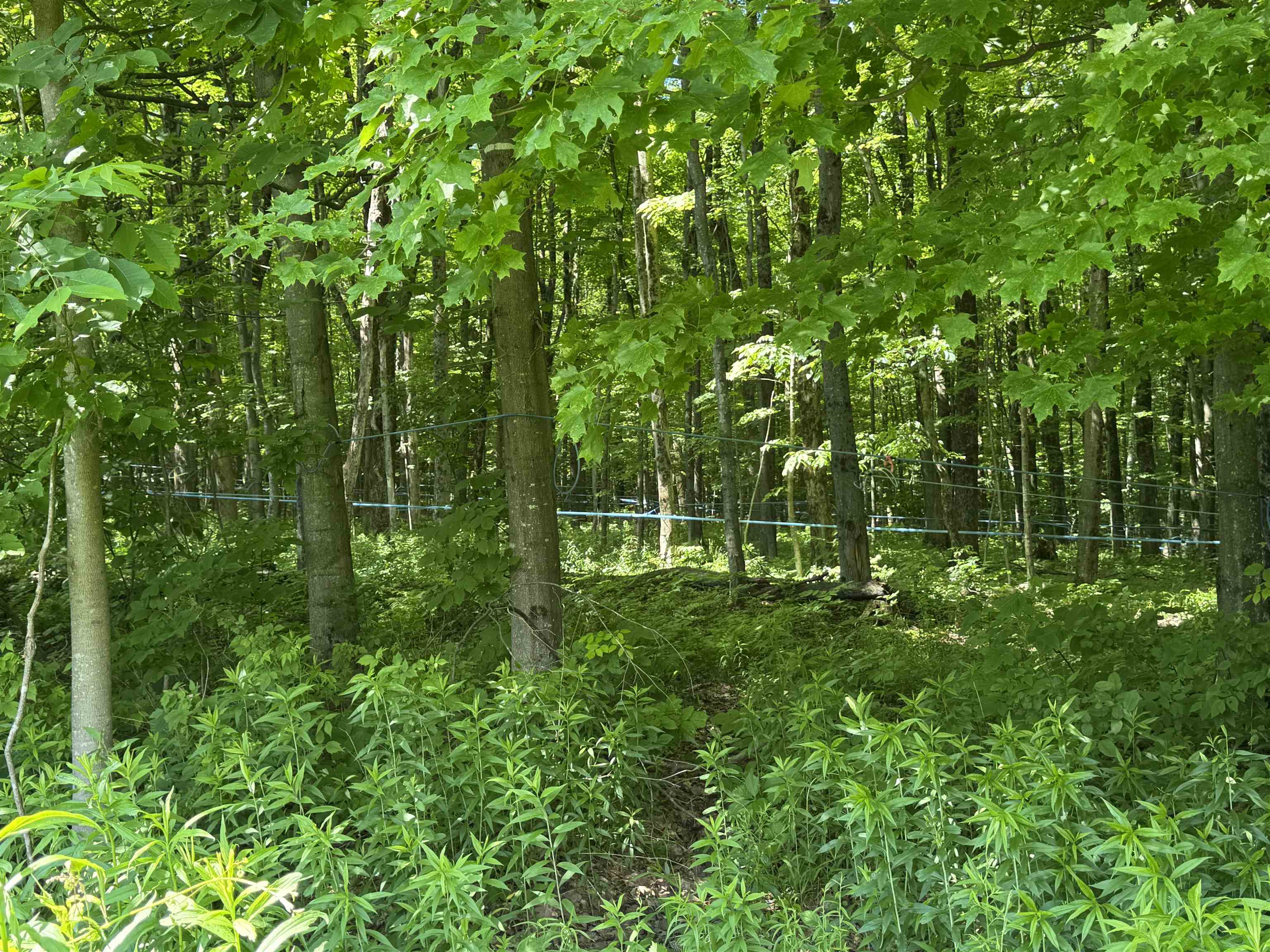 1198 Georgia Mountain Road Georgia, VT 05454 - Photo 21 of 26