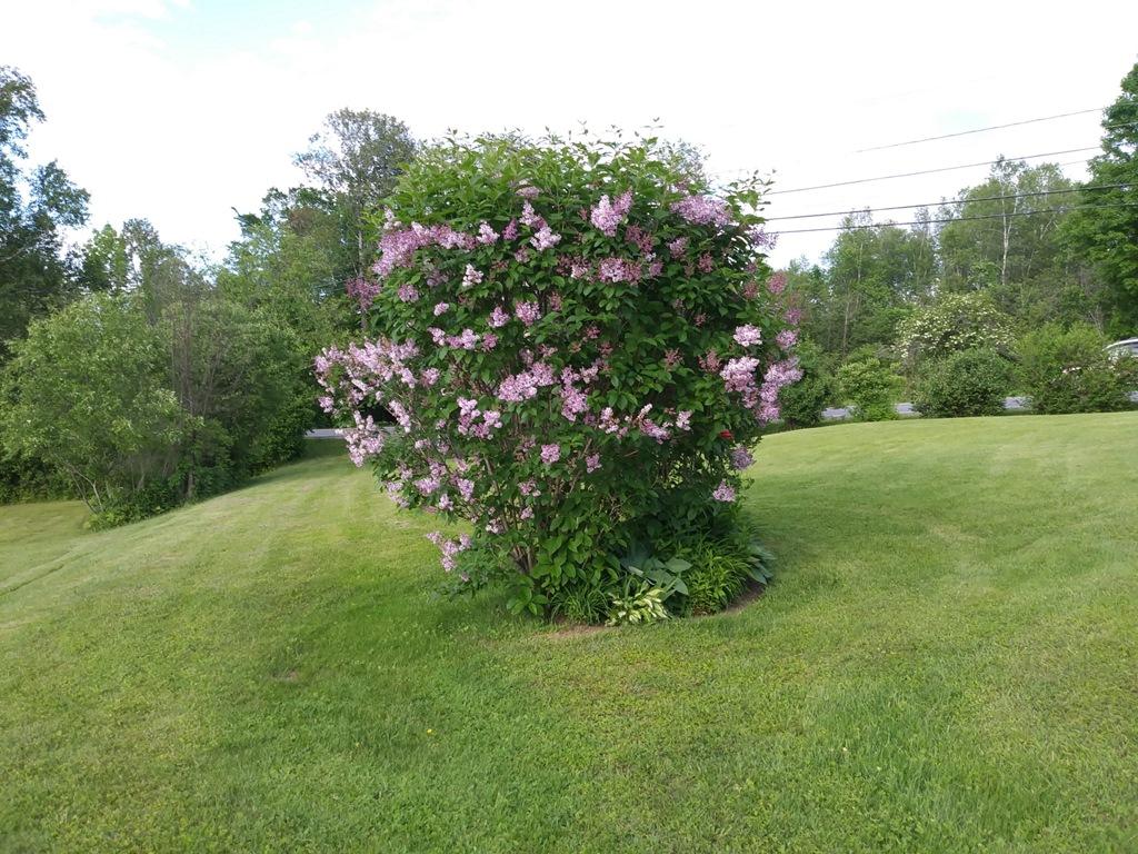 38 Hartland Road Canaan, ME 04924 - Photo 8 of 44 08