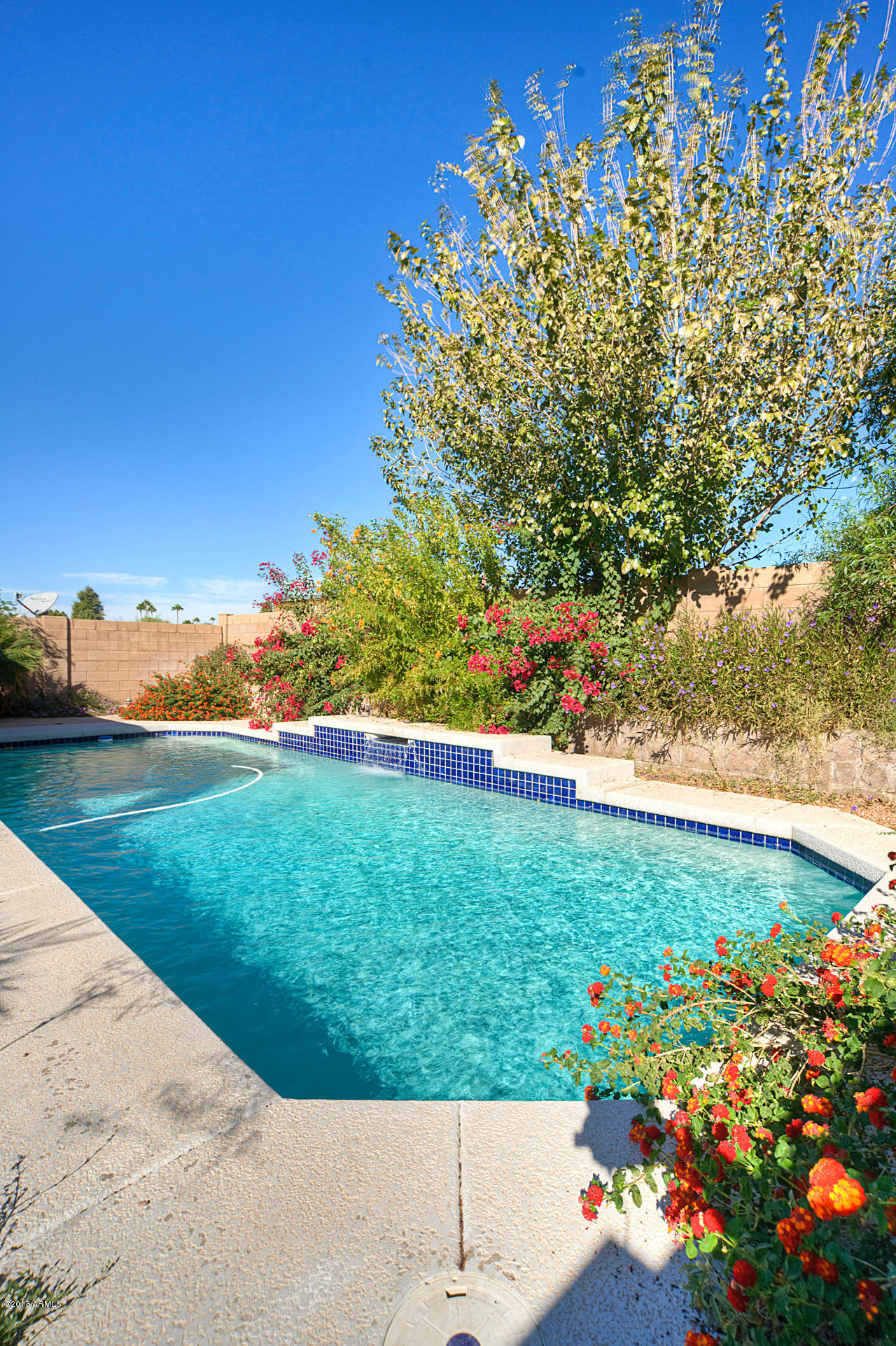 2824 West Lamar Road Phoenix, AZ 85017 - Photo 22 of 25 Cool Pool!