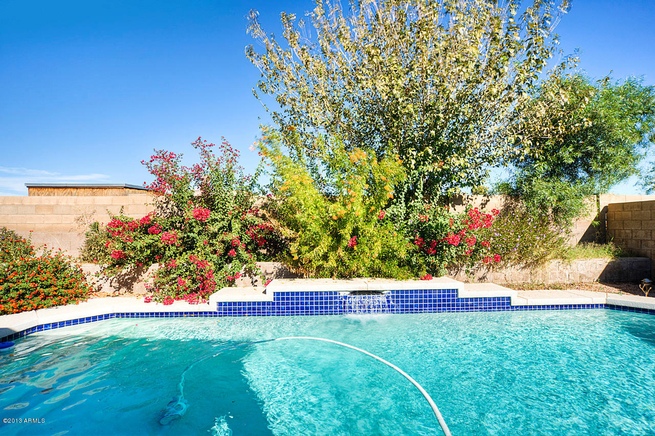 2824 West Lamar Road Phoenix, AZ 85017 - Photo 24 of 25 Great Pool and Landscaping