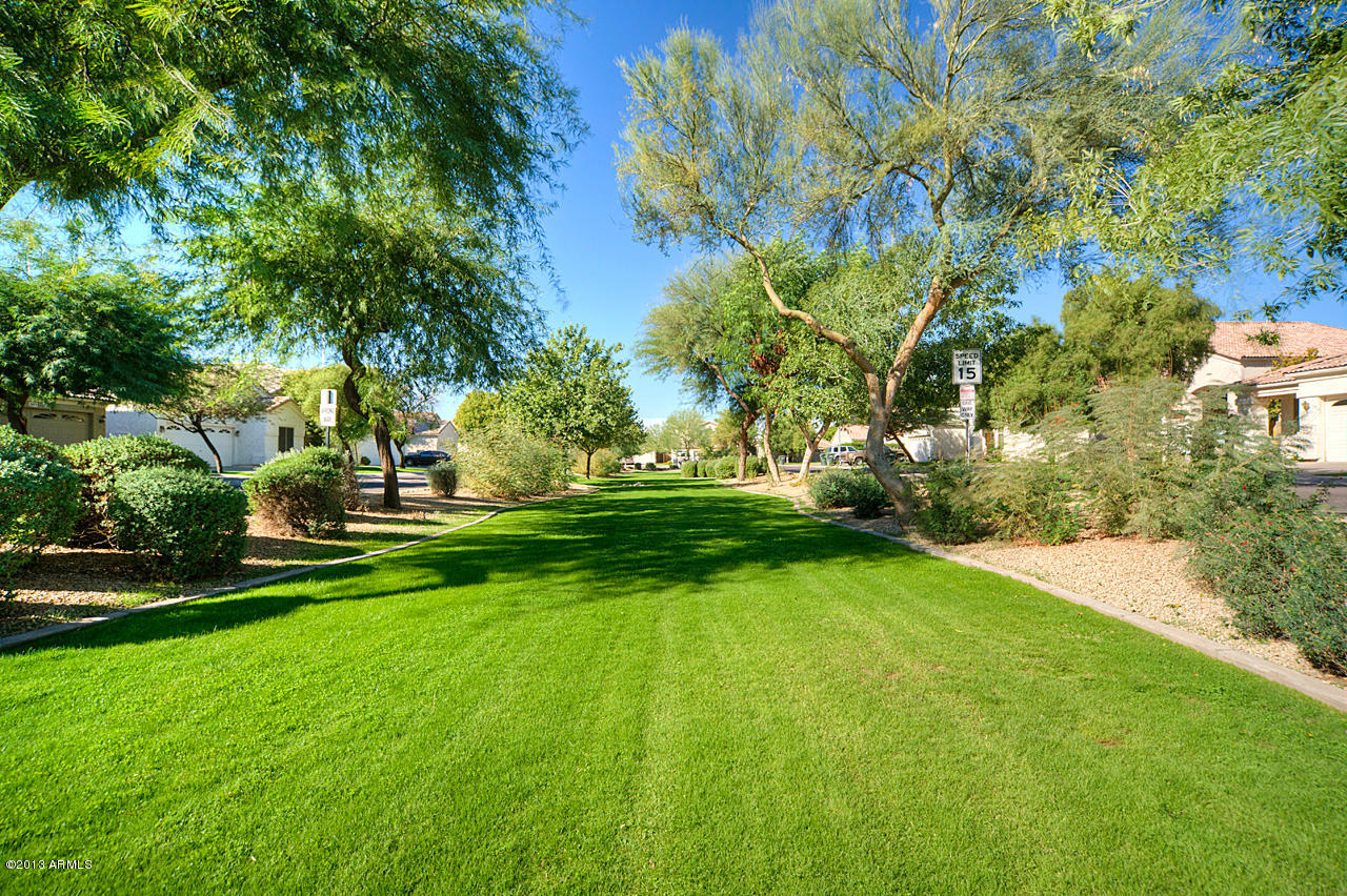 2824 West Lamar Road Phoenix, AZ 85017 - Photo 25 of 25 Common Area Landscaping