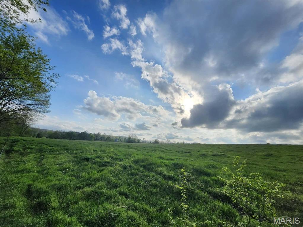 Tbd Little Creek Road Mountain Grove, MO 65711 - Photo 17 of 42