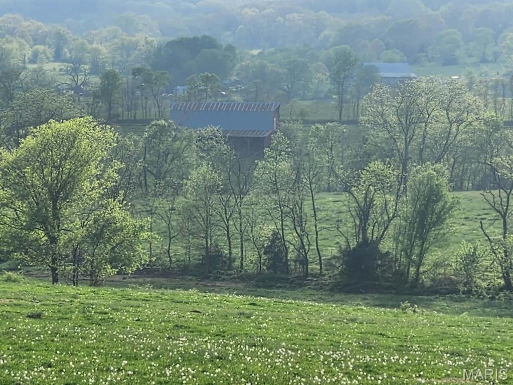 Tbd Little Creek Road Mountain Grove, MO 65711 - Photo 20 of 42