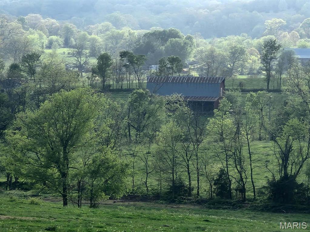 Tbd Little Creek Road Mountain Grove, MO 65711 - Photo 2 of 42