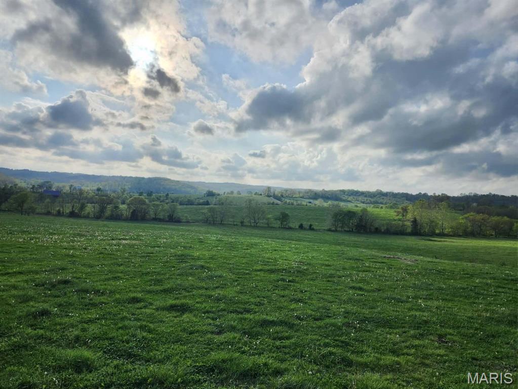 Tbd Little Creek Road Mountain Grove, MO 65711 - Photo 21 of 42