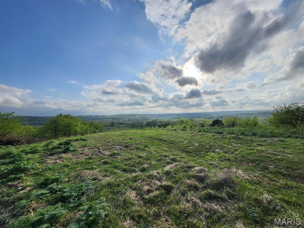 Tbd Little Creek Road Mountain Grove, MO 65711 - Photo 23 of 42