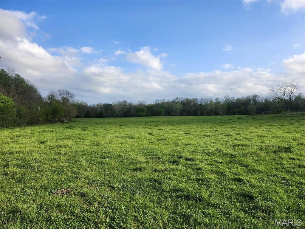 Tbd Little Creek Road Mountain Grove, MO 65711 - Photo 28 of 42