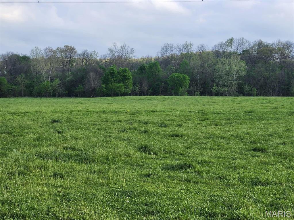 Tbd Little Creek Road Mountain Grove, MO 65711 - Photo 29 of 42