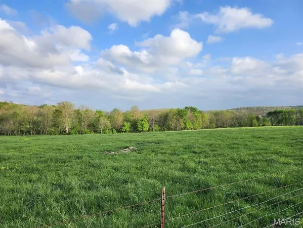 $1,400,000 | Tbd Little Creek Road, Mountain Grove, MO 65711