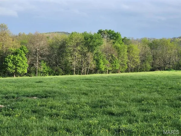 $1,400,000 | Tbd Little Creek Road, Mountain Grove, MO 65711