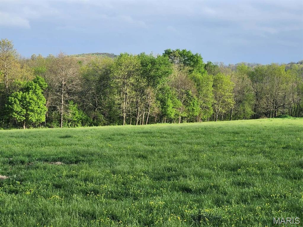 Tbd Little Creek Road Mountain Grove, MO 65711 - Photo 34 of 42