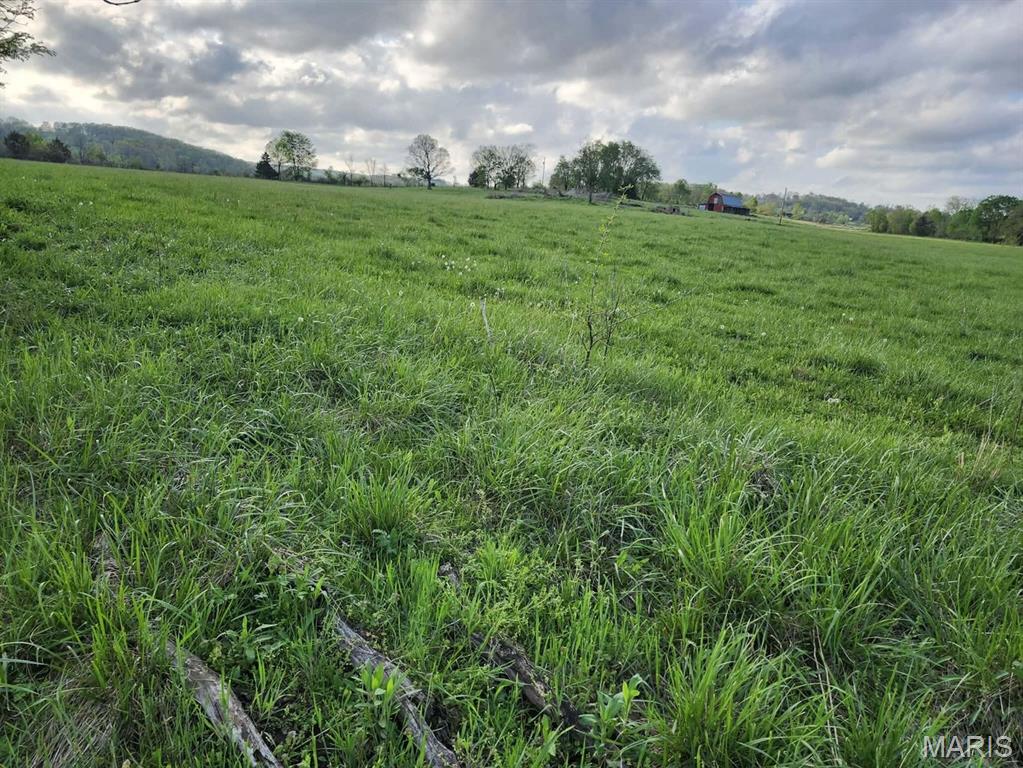 Tbd Little Creek Road Mountain Grove, MO 65711 - Photo 42 of 42