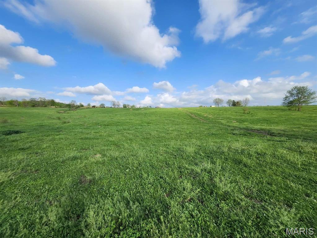 Tbd Little Creek Road Mountain Grove, MO 65711 - Photo 6 of 42