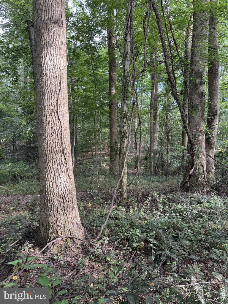 Waibel Rd Port Port Deposit, MD 21904 - Photo 12 of 22 a view of outdoor space and garden